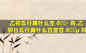 乙卯五行属什么生 🌷 肖,乙卯日五行属什么百度百 🌵 科